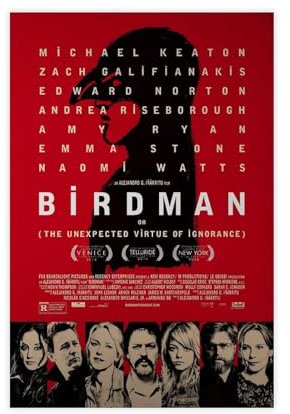 SPERKY Birdman – Filmshow-Poster auf Leinwand, Poster, Wandkunst, Dekor, Bild, Gemälde für Wohnzimmer, Schlafzimmer, Dekoration, ungerahmt, 30 x 45 cm