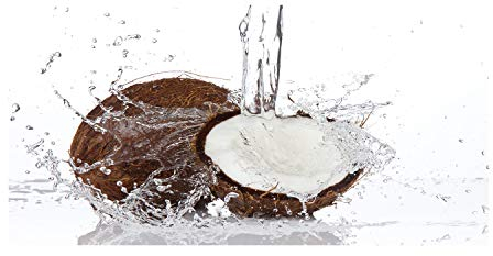 Tulup Peinture sur Verre trempé 140x70 décoration Murale Tableau Image - Noix De Coco