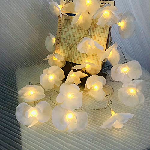 Riaxuebiy Phalaenopsis Lichterkette 9,8 ft 20 Lichterketten Fee Orchidee Künstliche LED batteriebetriebene Dekoration für Muttertag Hochzeit Warmweiß (Weiß)