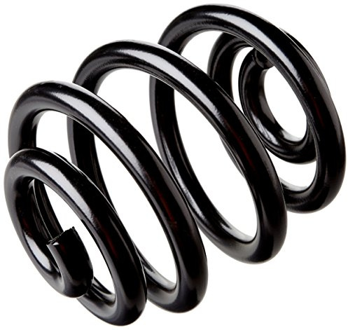 lesjofers 4204249 Coil Spring Rear