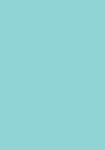 50 Blatt farbiges Druckerpapier 160g/m² / buntes Kopierpapier / Farbe: eisblau