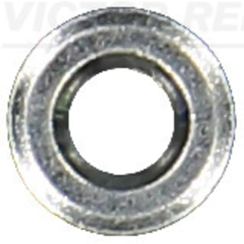 Victor Reinz Dichtring, Einspritzventil 70-16736-00
