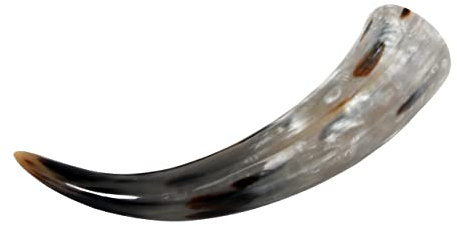 Elbenwald Trinkhorn, LARP Zubehör, stilechtes Gefäß für Met, Naturprodukt, lebensmittelecht - 0,3 l