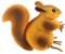 iplusmile Car Antenna Topper: Cute Squirrel Aerial Ball EVA Car Antenna Toppers for All Kinds Auto
