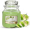Yankee Candle Duftkerze im Glas (mittelgroß) | Vanilla Lime | Brenndauer bis zu 75 Stunden