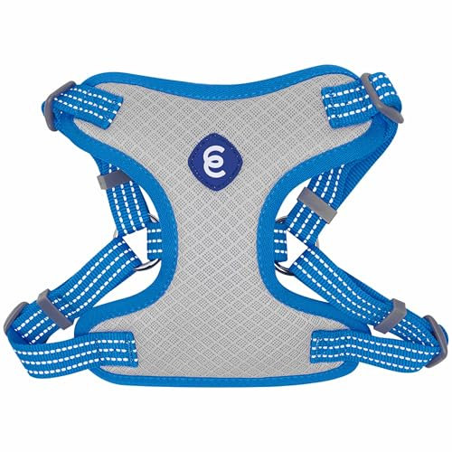 Blueberry Pet Essentials Back to Basics Reflektierendes Hundegeschirr, Weste, French Blue, Small, Verstellbare Geschirre für Hunde