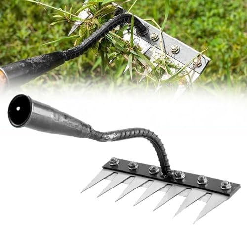 Générique Rateau de DéSherbage,Râteau de Jardin en Acier Au Carbone 8 Dents,Rateau Gazon Scarificateur Manuel pour Pelouse et Potager,Houe Jardinage pour Désherbage/Ameublissement du Sol/Semis