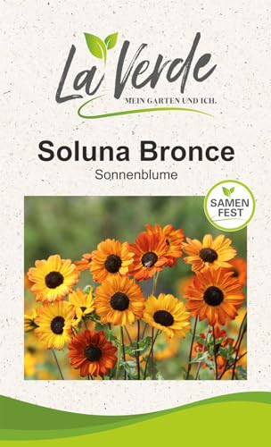 Sonnenblume Soluna Bronce Blumensamen