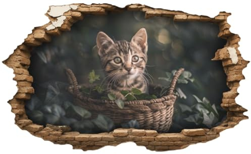 Samunshi® Wandtattoo Wandriss mit Katze in Korb Fenster in andere Welt Portal Wanddekoration Wandsticker für Kinderzimmer Wohnzimmer Wanddeko Küche 30x18cm