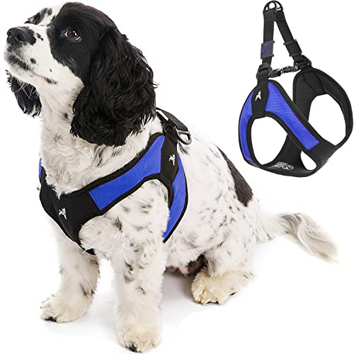Gooby Easy Fit Step-In Harness Light and Comfortable, Large, Blue