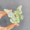 Schmetterling Haarklammern Haarspangen Kleine Haarklauenclips,Glitzer Muschel Marmor Leoparden Haar Fänger Kiefer Klemme Haar Jaw Clips Haarstyling-Zubehör Haarschmuck für Damen Mädchen,Grün #2
