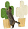 PawHut alfombra rascadora para gatos, set de 2 tablas rascadoras para gatos hechas de cuerda de yute, tabla rascadora para gatos con ganchos, pared rascadora para gatos en diseño de cactus, 30 x 60 cm