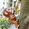 JARPSIRY Kletteraffe Baumumarmung Garten Affe Statue Harz Tier Skulptur Hof Dekor für draußen, lustige Baumkletterfigur Outdoor Terrasse Rasen Dekor