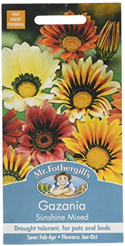 Mr Fothergill's Gazania Sunshine Mixed