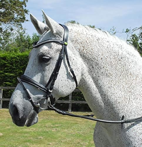 Rhinegold – Cojín anatómico caballo brida de piel italiana con flash muserola
