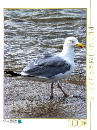 CALVENDO Puzzle Die Möwe spaziert ins Meer | 1000 Teile Lege-Größe 48 x 64 cm Foto-Puzzle für glückliche Stunden