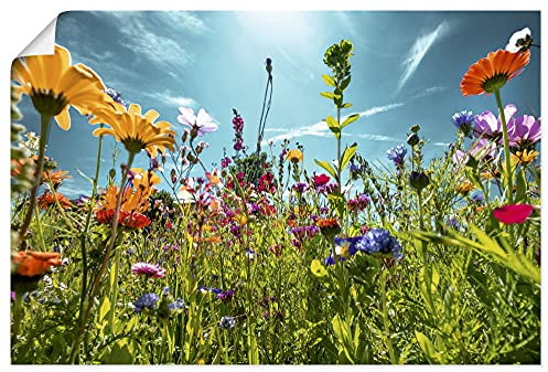 ARTLAND Wanddeko Poster & Kunstdrucke Wandposter 90x60 cm Blumenbilder Blumenwiese Blüten Frühling Blumen Bunt U2KS