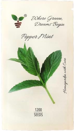 Approx. 1,200 Non-GMO Seeds - Mentha x piperita Peppermint – Grow Fresh Mint Plant Indoors or Outdoors – Herb for Gardens, Herbal Tea, Cat Mint Companion