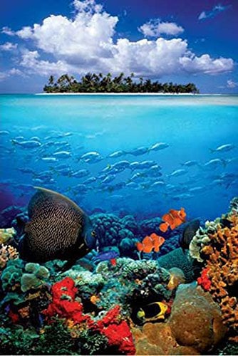 empireposter Sea Life Island Natur Poster Foto Fantasy Naturwelt Natur Fische Korallenriff 61x91,5 cm + 2 St Posterleisten Alu 63 cm