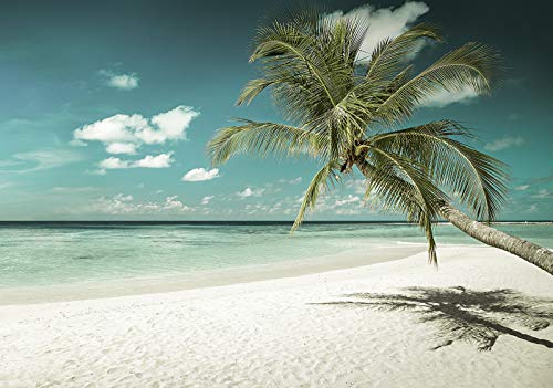 Forwall Fototapete Strand Meer Palmen Karibik Natur Landschaft Wohnzimmer Schlafzimmer Vlies Tapete Wandtapete UV-Beständig Montagefertig (13346, VEXXL (312x219 cm) 3 Bahnen)