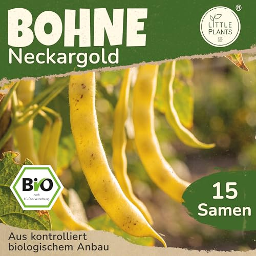 Little Plants BIO Stangenbohne Samen 15 Bohnensamen Neckargold Gelb Gemüsesamen Gemüsesaatgut Samenfest für Gemüsegarten, Hochbeet, Küche, Balkon und Garten