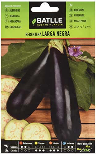 Semillas Batlle Berenjena LARGA NEGRA