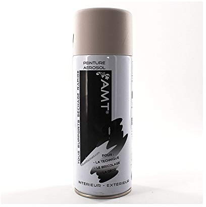 AMT Peinture aérosol Gris Clair Mat