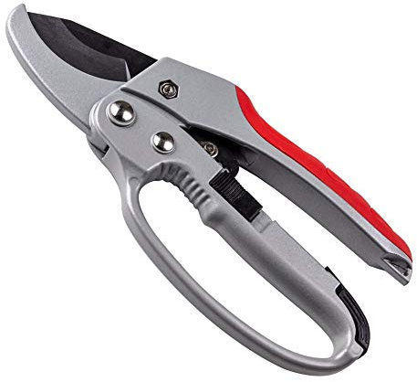 Sécateur de Jardin Coupe de Branches épaisses Max 20 mm Outils de Sécateur Ciseaux d'arbre Fruitier Sécateurs de Branche de Bonsaï Outils de Jardinage