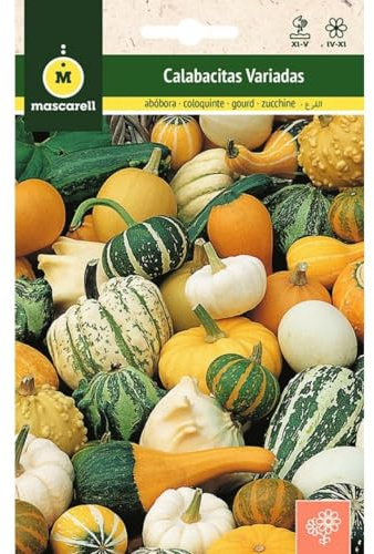 Mascarell Semillas, CALABACITAS DE ADORNO VARIADO, Semillas Flores Exterior para Decoración, 4 Gramos