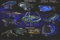 Close Up Star Trek Poster Famous Starfleet Ships Collage (101,5cm x 68,5cm)