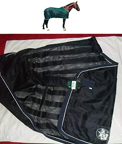 DMS Fliegendecke Napoli Navy 125