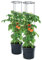 Lot de 2 pots de culture pour tomate - 295 x 1 152 mm - Pots pour jardin, terrasse