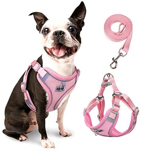 rennaio Hundegeschirr Kein Ziehen, Verstellbares Welpengeschirr mit 2 Leinenclips, Reflektierendes Hundegeschirr und Leine Set für kleine und mittelgroße Hunde (Rosa, M)