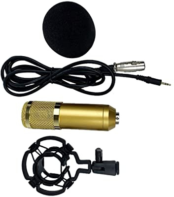 HEMOTON Kondensatormikrofon mit Doppellagigem Gitter Bm-800 für Konferenzen | Goldfarbenes Modell Bm-800, Kunststoffgehäuse, Niedrige Geräusche, Hohe Empfindlichkeit, für Gesang und Karaoke