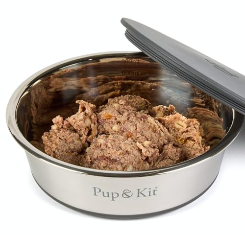 Pup & Kit Lid-it Dog & Cat Bowl with Airtight Lid, Steel (Small, Grey) | Silicone lid cover | Portable pet bowl for travel | Prep & store food | Non-slip base | Dishwasher safe | Stainless steel