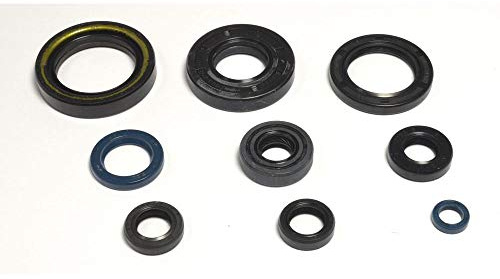 Athena P400485400036 Wellendichtringsatz Motor