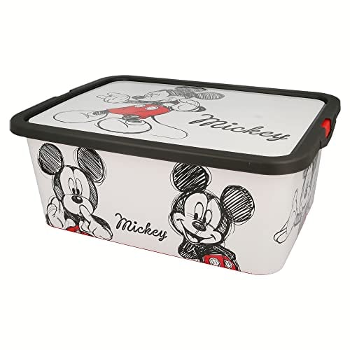 Scatole Di Immagazzinaggio Click 13 L. Mickey Fancy