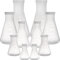 Peohud Set of 10 Plastic Scientific Erlenmeyer Flasks, Narrow Mouth Erlenmeyer Flask with Screw Caps, Lab Erlenmeyer Flask with Molded Graduations(50ml, 100ml, 250ml, 500ml, 1L)