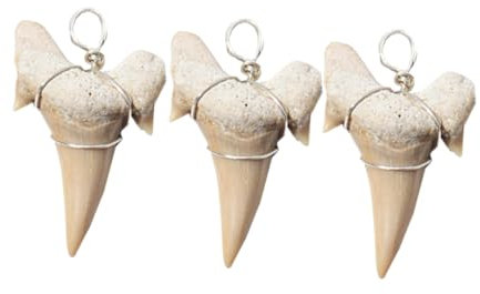 GARVALON 3 Stück Anhänger Mit Echten Haifischzähnen Mit Draht Umwickelt Haifischzähne Halskette Charm Strandschmuck Charm Haifischzähne Haischmuck Halskette