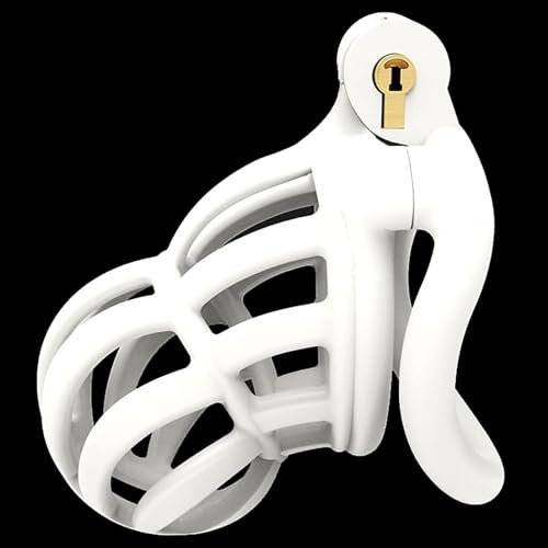 WreGmgg Jaula Protectora Multifuncional con Llave, candado de Anillo Curvo de Acero Inoxidable, candado, Herramienta de Entrenamiento de Yoga - H