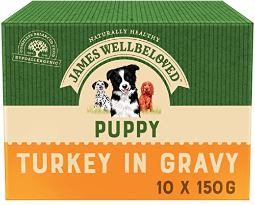 James Wellbeloved Puppy Turkey in Gravy 10 Pouches, Hypoallergenic Wet Dog Food, Pack of 1 (10 x 150 g)