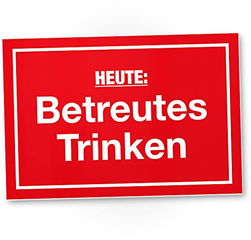 DankeDir! Schild mit Spruch Bar Lustige Geschenkidee Geburtstagsgeschenk bester Freund Jungs Kleines Geschenk Männer Party Deko Zubehör Trinkspiele - Kunststoff, 30 x 20 cm, Rechteckig, Wandmontage