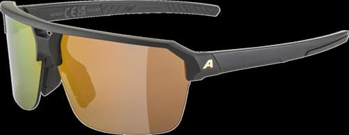 ALPINA Swift HR - Stylische Sonnenbrille für Erwachsene, black-gold matt