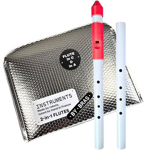 Native American Flute by Instruments by Bras with Interchangeable Mouthpiece and Two Bodies in C and A for All Skill Levels, Flute Instrument Handcrafted in France