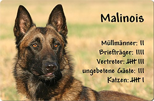 Nanyuk +++ Malinois Belgischer Schäferhund - Metall Warnschild Schild Hundeschild Sign - MAL 04 T4