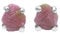 Starborn Roh Rubin Edelstein Ohrstecker 925 Sterling Silber (Rubin)