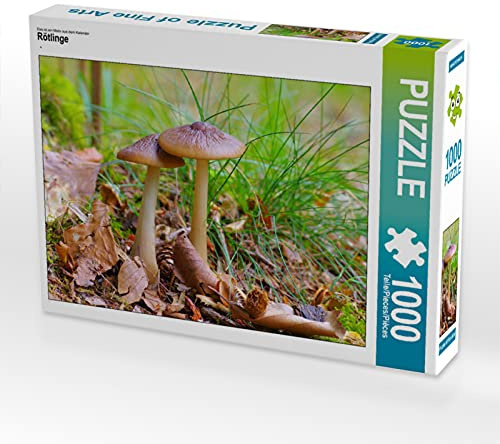 CALVENDO Puzzle Rötlinge | 1000 Teile Lege-Größe 64 x 48 cm Foto-Puzzle für glückliche Stunden