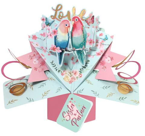 Love Birds Sister & Partner Pop Up Anniversary Card Suit Any Romantic Occasion POP199C18
