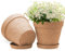 ZMTECH 25 cm Plant Pots with Saucers & Drainage Holes, 10 Inch Plastic Terracotta-Look Planter, Large Flower Pot with Tray for Indoor Outdoor Snake Plant Aloe Monstera House Plants (Set of 2)