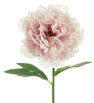 Künstliche Pfingstrose – 35 cm – Blassrosa – Realistische Seidenblume für Vase, Hochzeit, Frühling & Tischdeko